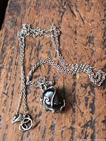 Full view of 22" silver-plated chain with pendant on wood surface