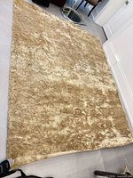 Full view of beige/tan shag area rug laid flat, showing rectangular shape and high pile texture