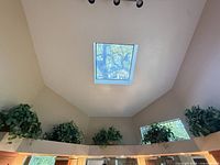 View of five artificial plants displayed on high shelf under skylight