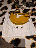 Full view of yellow Coach hobo on dust bag