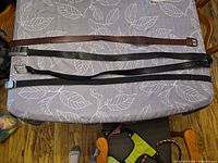 Four belts laid out fully extended on table