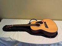 Full view guitar in gig bag showing body, neck, natural top