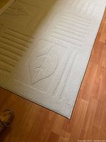 Overall view of beige rug showing floral and linear embossed design