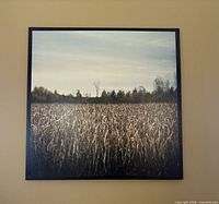 Front view of square cornfield photograph in black frame