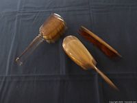 Group shot showing both brushes and comb