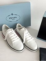 Overall view of sneakers with box