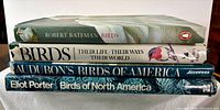 Stack of four bird books showing spines and titles