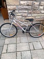 Full left side view of silver SuperCycle 1500 mountain bike