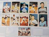 All eleven cards laid out in three rows