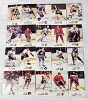 All 20 Esso hockey cards laid out in four rows