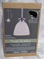 Front of sealed retail box showing pendant image, specs, Canarm logo