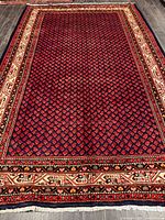 Full view of rug showing entire field and borders