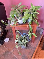 small wooden side table with multiple potted plants and watering can