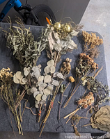 Entire spread of dried and faux stems on table
