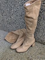 Full view of both beige knee-high boots standing upright