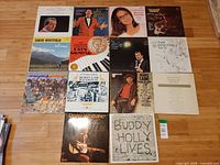 Overview of 14 LP records arranged in grid