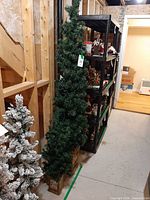 Tall and short artificial Christmas trees in planters, full view