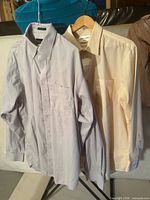 Both shirts on hangers, full view