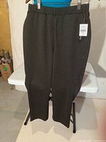 Front view of charcoal cropped pants hanging, full length visible