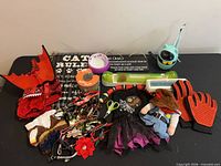 All items laid out showing variety of toys, costumes, collars, grooming gloves, mat