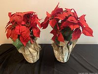 Both artificial poinsettia plants side by side