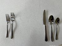 Two stainless dinner forks, one stainless knife, one dessert spoon, one teaspoon displayed
