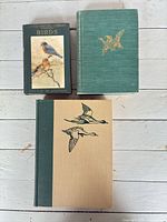 Group shot of all three books showing covers