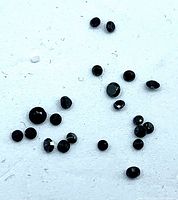 Scattered loose black round diamonds on white background