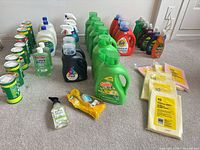 Group shot of all cleaning supplies arranged on floor