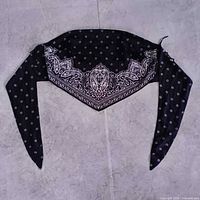 Full view of black paisley bandana-style crop top