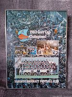 Full view of framed plaque showing entire collage and frame