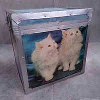 Full view of trunk showing kitten image panel