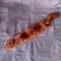Full view of mink scarf showing head to tail