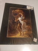 Front view of matted print sealed in plastic