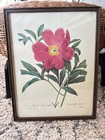 Full view of framed botanical print showing peony, wood frame visible