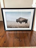 Front view of framed buffalo photograph on floor