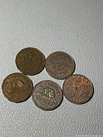 Group shot of all five Canadian nickels showing reverse designs and dates