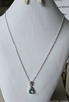 Full view of necklace on display bust showing chain length and pendant