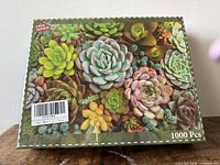 Front of sealed 1000-piece succulent puzzle box