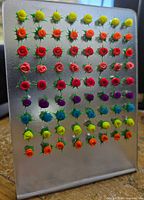 Front view of display card showing colorful flower studs in rows