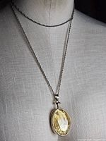 Full view of gold tone chain on mannequin displaying oval amber pendant
