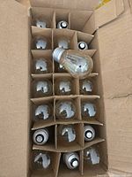 Open carton with 21 bulbs in cardboard dividers