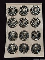 Card showing 12 identical silver-tone police force buttons