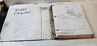 Inside binder showing pages and handwritten “BLADE Chrystal,” visible wear