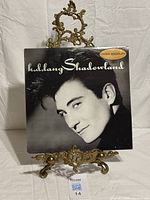Front cover of k.d. lang Shadowland LP showing jacket design