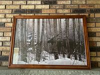 Front view of framed photograph showing moose in winter forest, wood frame visible