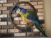 Front view of painted macaw wall decor on metal ring