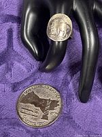 Front view of Buffalo Nickel ring on display hand with South Carolina coin underneath