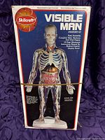 Front view of Skilcraft Visible Man Anatomy Kit box