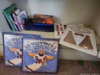 Entire shelf showing front row record books and partial back row titles